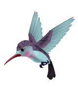 Birdy