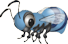 Bleuet